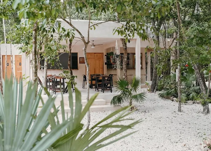 Lunita Jungle Puerto Morelos
