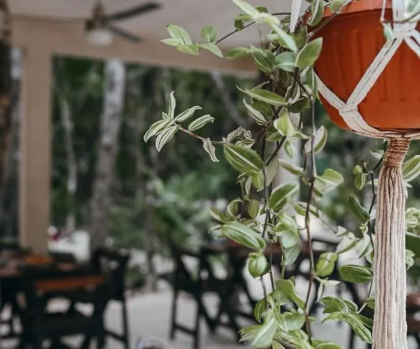 Lunita Jungle Hotel 3*