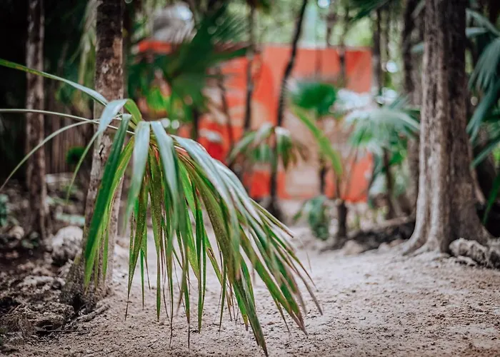Hotel Lunita Jungle 3*