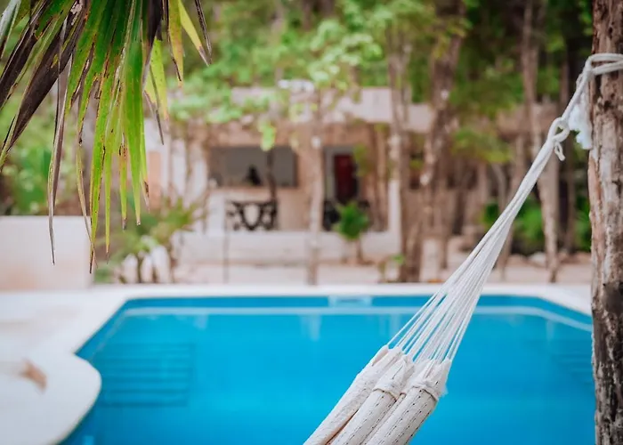 Lunita Jungle Hotel 3*