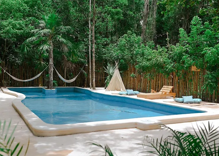Lunita Jungle