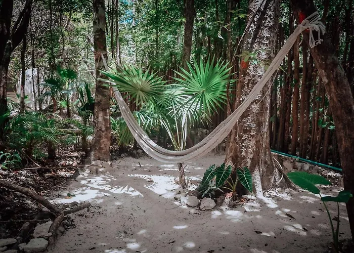 Lunita Jungle Hotel