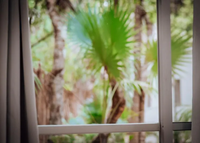 Hotel Lunita Jungle Puerto Morelos