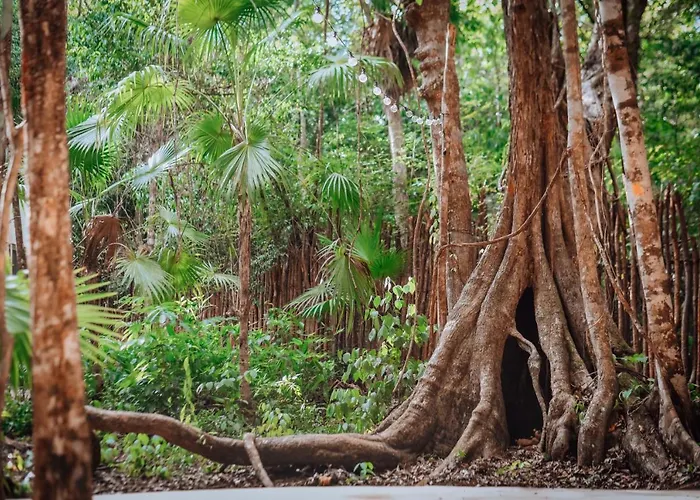 Lunita Jungle