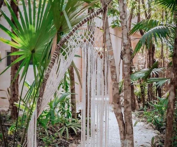 Lunita Jungle Hotel Puerto Morelos
