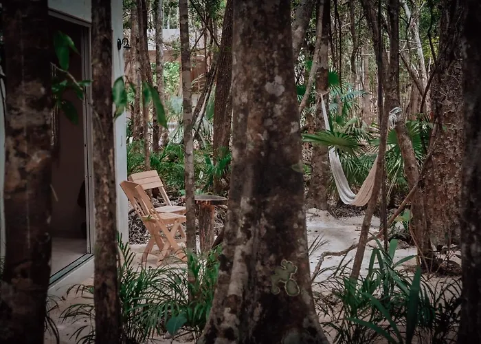 Lunita Jungle Hotel 3*